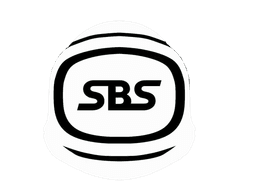 SBS Helmet